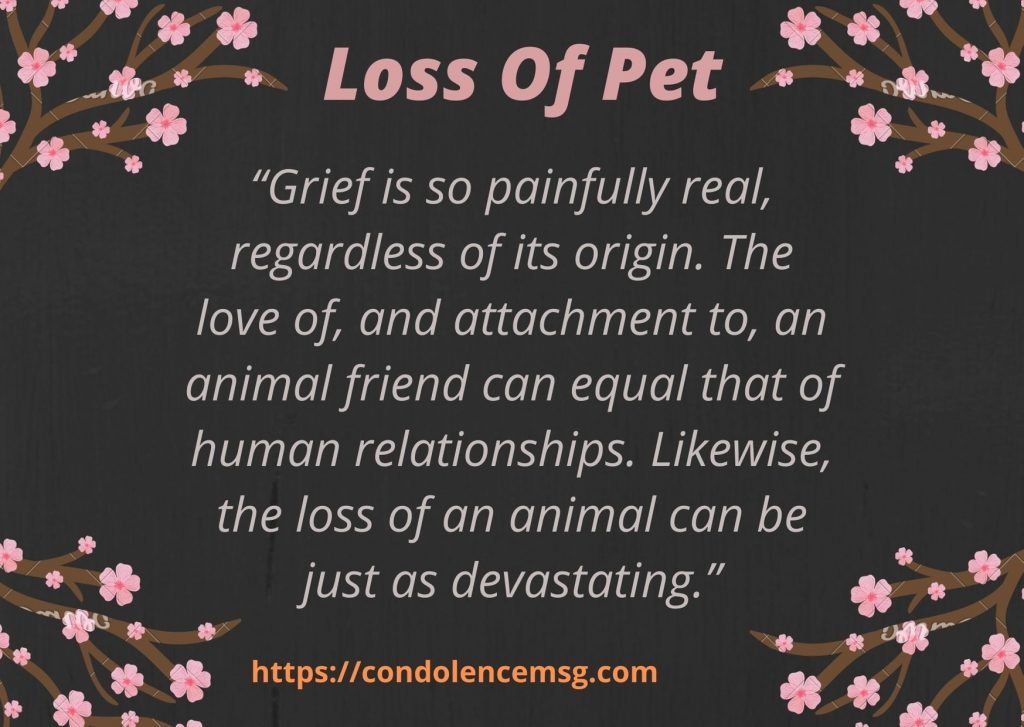 Messages of Condolences for Loss of Pet